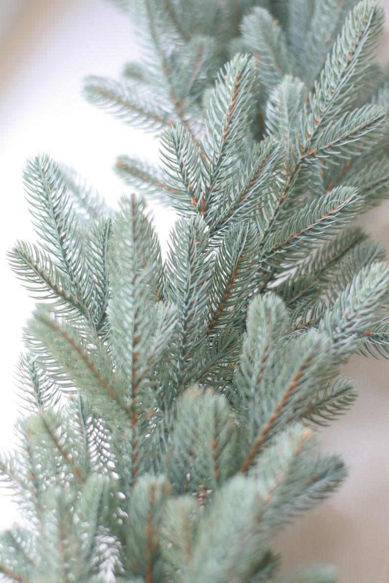 Greenery Garland Christmas Decorations
